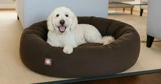 The Heart of Pet Care: Exploring Majestic Pet