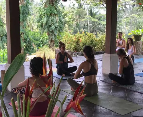 Yogatation 2026: A Buyer's Reality Check