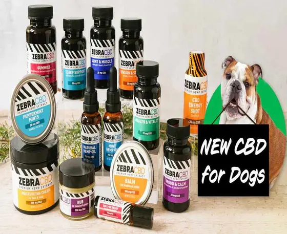 ZebraCBD: Navigating Wellness with Quality CBD Products
