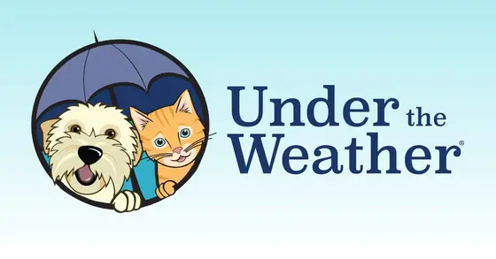 The Honest Comparison: Under the Weather Pets and What Else Is Out There