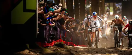 Choosing Between Vittoria and Its Main Competitors in Biking