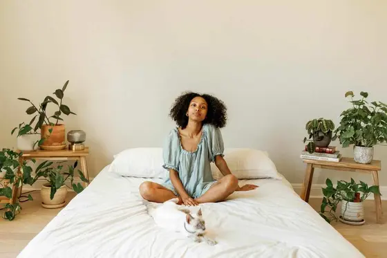 Morning Rituals That Ignite Creativity: Insights from Sanetra Nere Longno