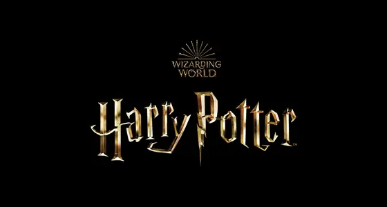 HarryPotterShop.com: An Honest Long Look at Wizarding Wonders