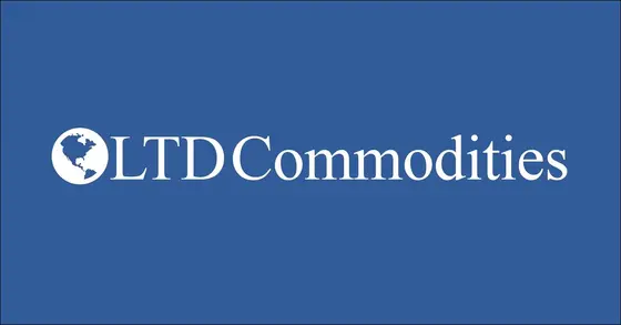 LTD Commodities: Discovering Unique Finds for Your Home