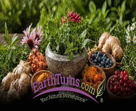 EarthTurns or Pure for Men? Here's What Each Does Best