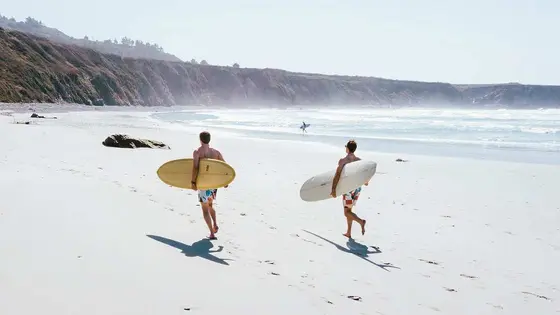 Swimwear's New Wave: Brands to Know This Year