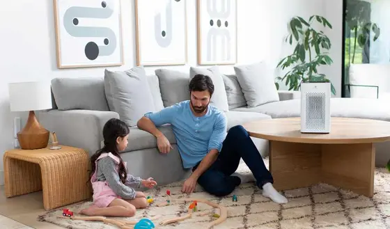 Exploring the Appeal of Medify Air's Air Purifiers