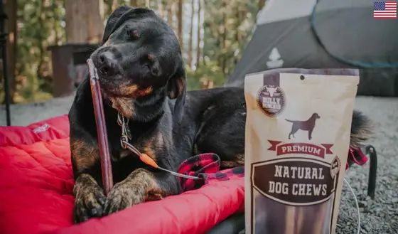 The Pet Products Brands Quietly Changing How We Shop