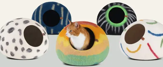 Where Cat Care is Headed — and Who's Leading