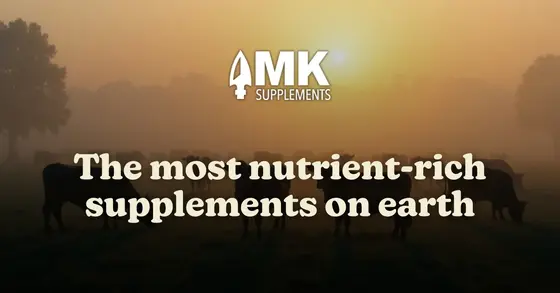 MK Supplements: An Honest Long Look at Wellness and Performance