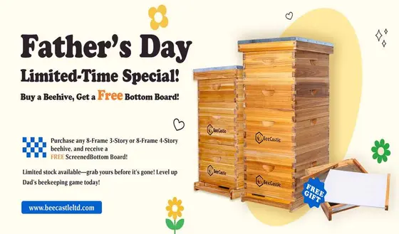 Exploring the Buzz of BeeCastle Beekeeping Supplies