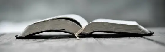 A Spiritual Journey Through Answers in Genesis: Insights Gained