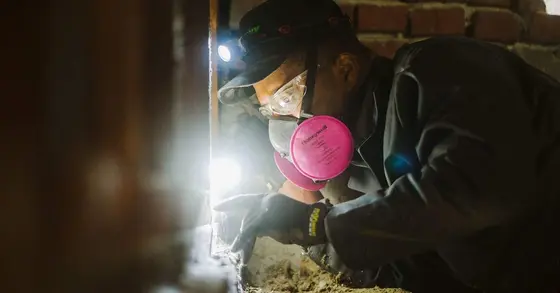 Exploring the Evolving Landscape of Home Pest Control in 2026