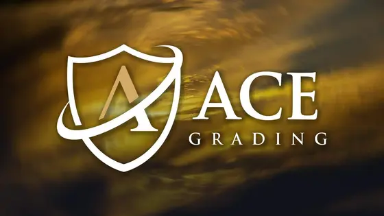 Choosing the Best Grading Service: Ace Grading vs. Competitors