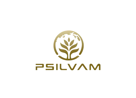 Choosing Home Furnishings: Psilvam vs. Competitors in 2026
