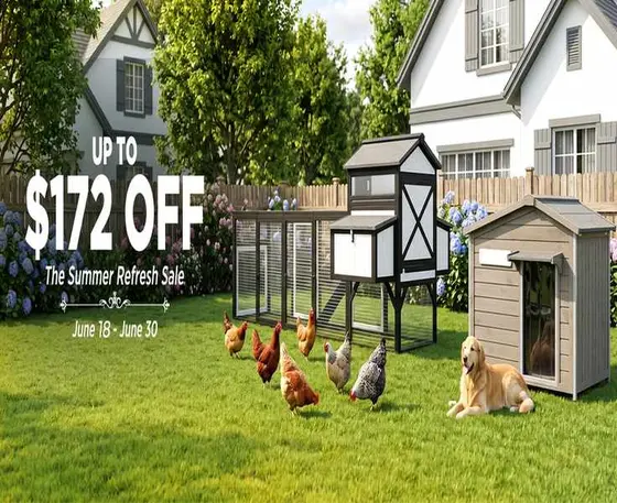 What You Actually Get When You Shop Petscosset