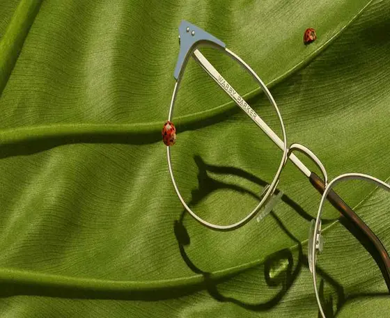 Exploring the Allure of Warby Parker's Visionary Approach
