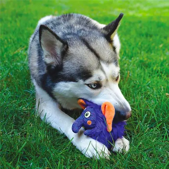 BaxterBoo vs. Competitors: The Best in Pet Care for 2026