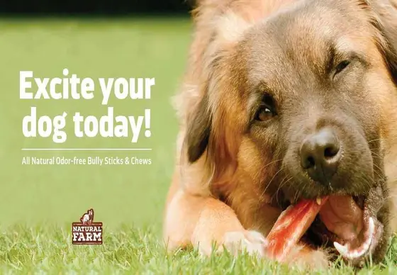 Natural Farm Pet 2026: A Buyer's Reality Check