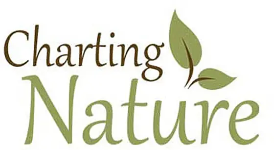 Exploring the 2026 Home Decor Trend: Nature-Inspired Designs