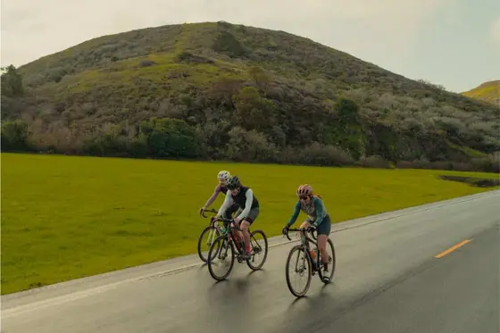 Exploring the Community Behind Strava's Success