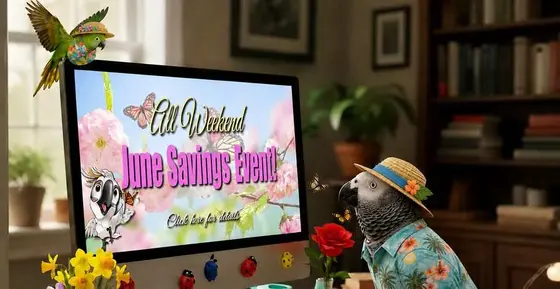 The Bird Welfare Brands Quietly Changing How We Shop