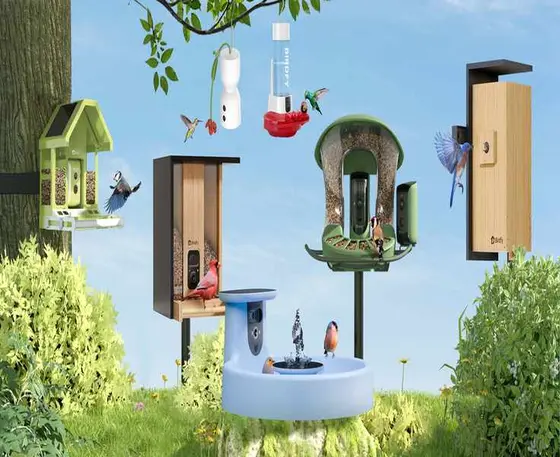 Birdfy 2026: A Buyer's Reality Check