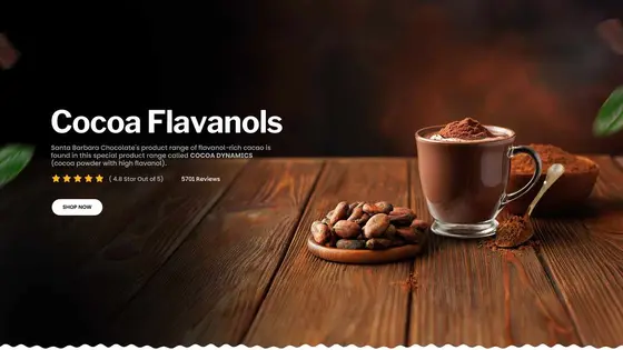 The Honest Comparison: Santa Barbara Chocolate and What Else Is Out There