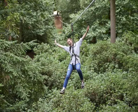 The Honest Comparison: Go Ape and What Else Is Out There