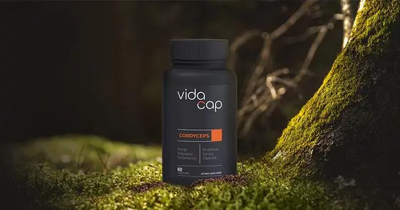 Mushrooms in Focus: The Supplement Revolution of 2026
