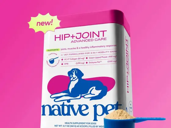 Exploring the Shift in Pet Care Products This Year