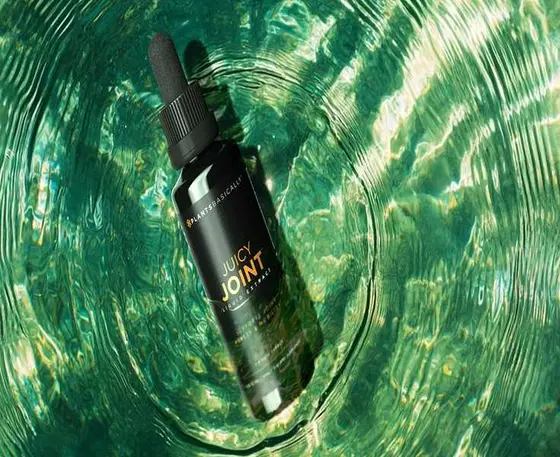 Discovering PlantsBasically: Your Guide to Natural Wellness