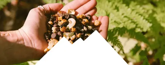 The True Taste of Organic: Unpacking Tierra Farm