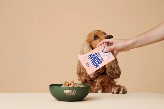 Marleybones: Tailored Nutrition for Your Canine Companion