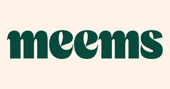 A Few Days With Meems: What I Learned About Their Style