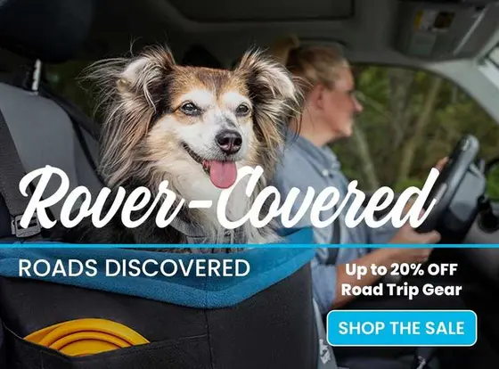 Choosing Between Kurgo and Its Top Competitors for Dog Care