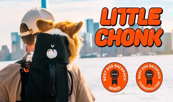 The Pet Care Brands Quietly Transforming How We Shop in 2026