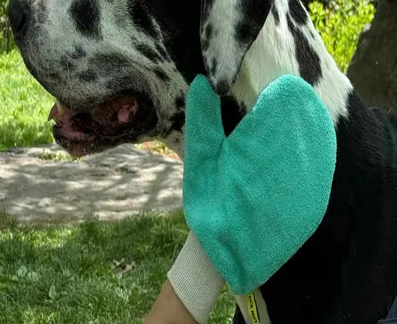 A Few Days With TiCK MiTT: What I Learned