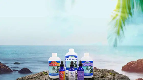 Unveiling the Mineral Benefits of Eidon Wellness Products
