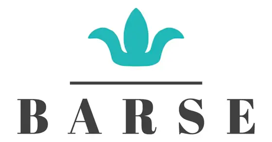 Barse Jewelry: Bold Statements from the Heart of the South