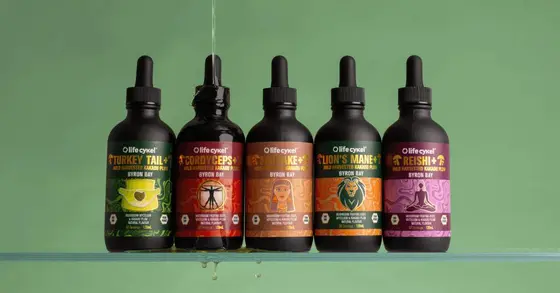 Exploring Life Cykel: A Journey into Mushroom Wellness