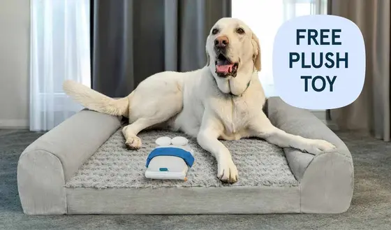 Why Bear Mattress is Leading the Shift in Sleep Technology
