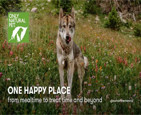 Pet Care's New Wave: Brands to Know This Year