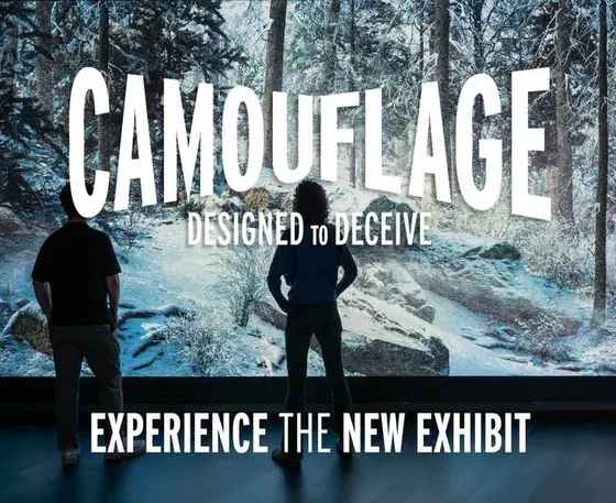 Espionage Experiences: Engaging Attractions to Explore This Year