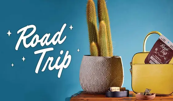 What You Actually Get When You Shop Road Trip