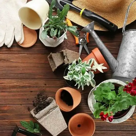 Save Big with Nature Hills Nursery Promo Codes for June 2026