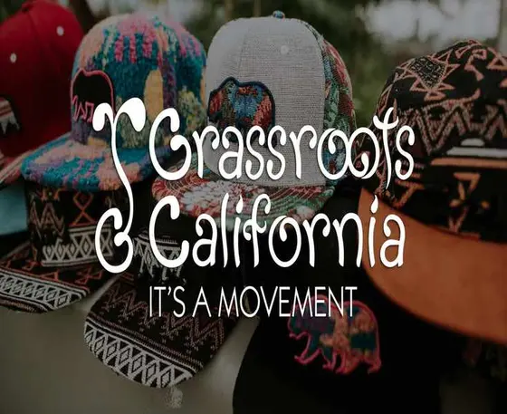 A Side-by-Side: Grassroots California Against the Competition