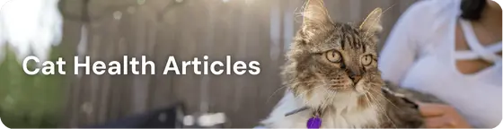 The Quiet Rise of AnimalBiome: Redefining Pet Health