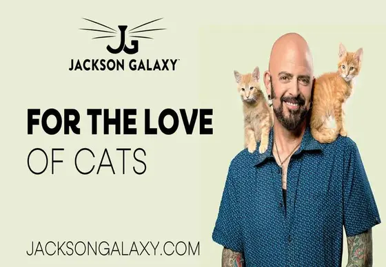 Cat Care's New Wave: Brands to Know This Year