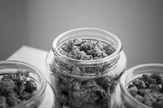The Hemp Barn, Unpacked: What to Buy, What to Skip